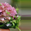 Blumen aus Amsterdam gesteck hortensien